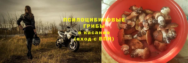 гидра Касимов