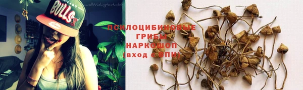 гидра Касимов