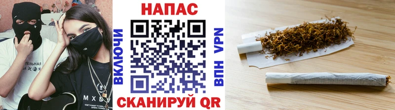 Каннабис White Widow  Купить где  Спас-Клепики 